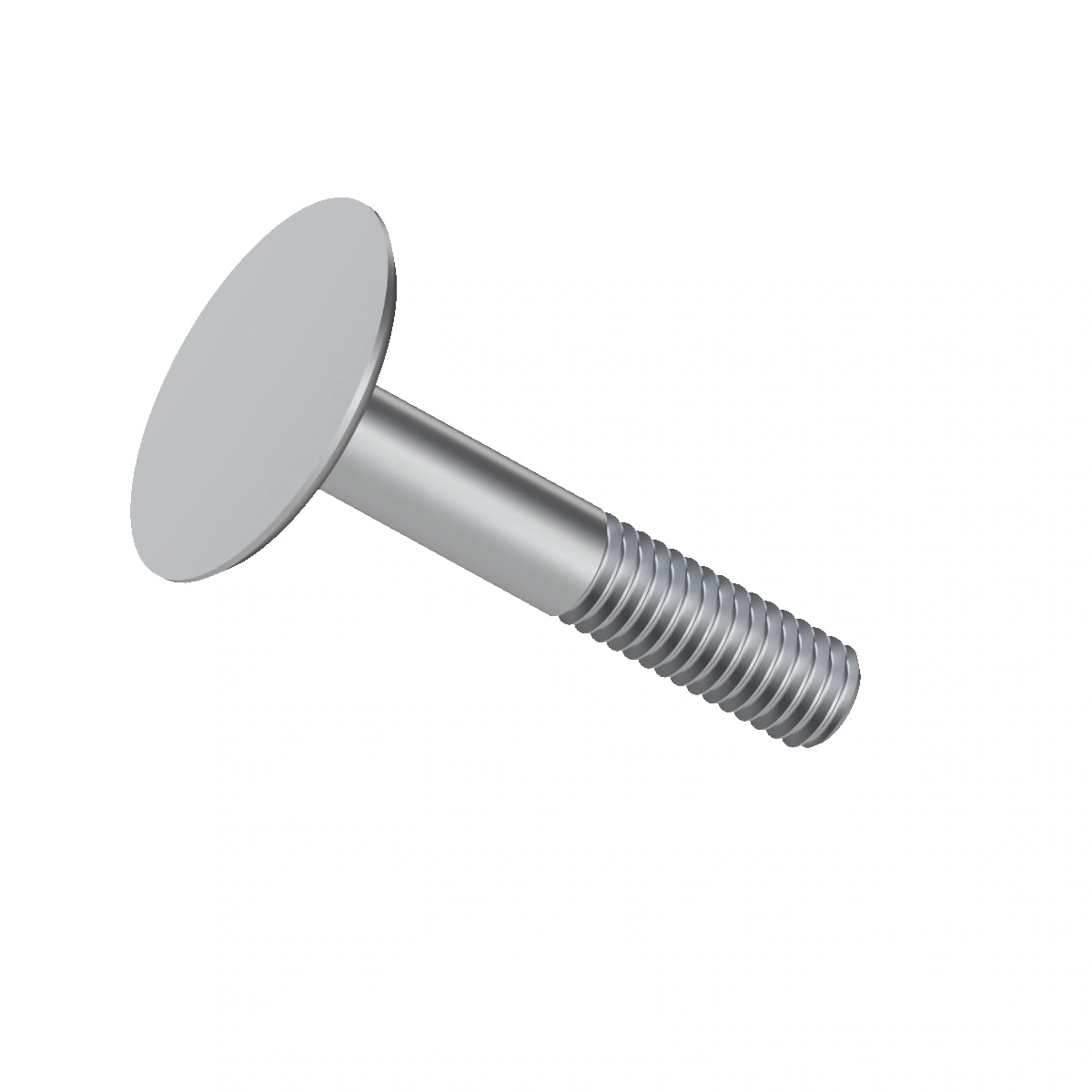 Elevator Bolt ASME B18.5
