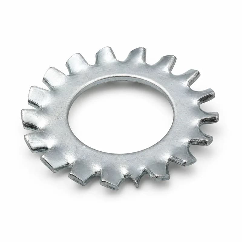 External Internal Tooth Lock Washer