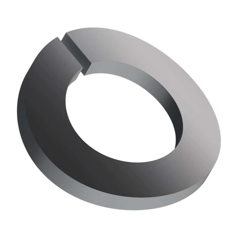 Curved Spring Washer