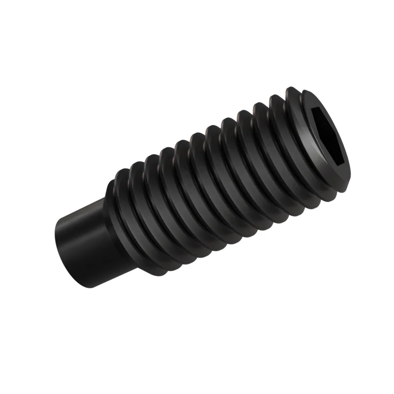 Dog Point Set Screw ISO 4028 M10 × 25, black oxide