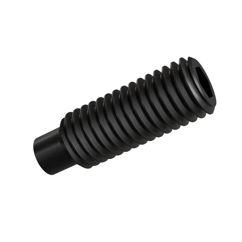 Dog Point Set Screw ISO 4028 M10 × 30, black oxide
