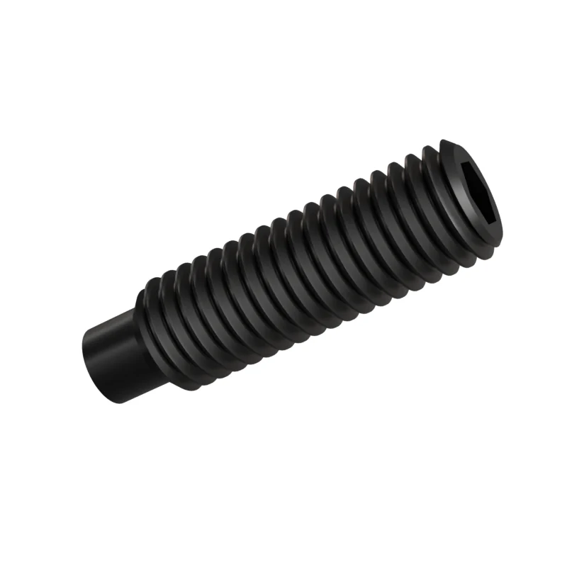 Dog Point Set Screw ISO 4028 M10 × 35, black oxide