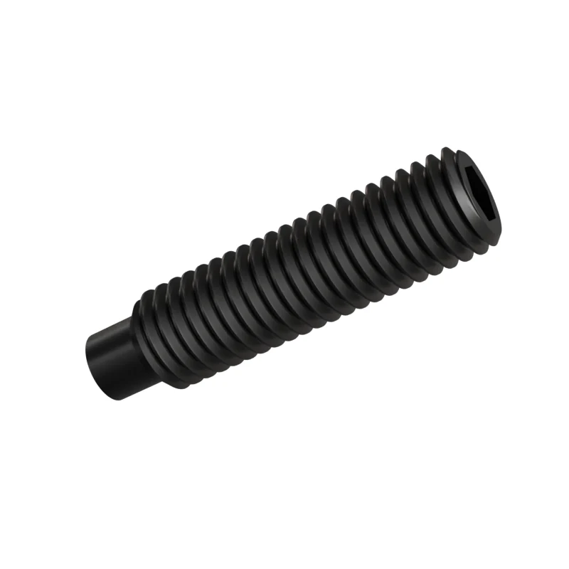 Dog Point Set Screw ISO 4028 M10 × 40, black oxide