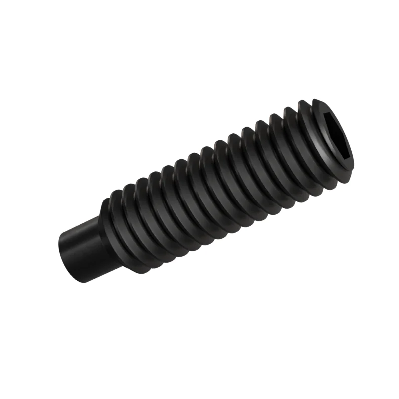 Dog Point Set Screw ISO 4028 M3 × 10, black oxide