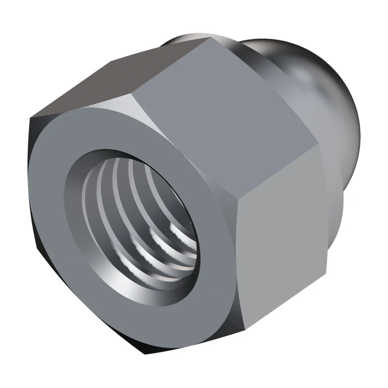 Domed Cap Nut with Nylon Insert