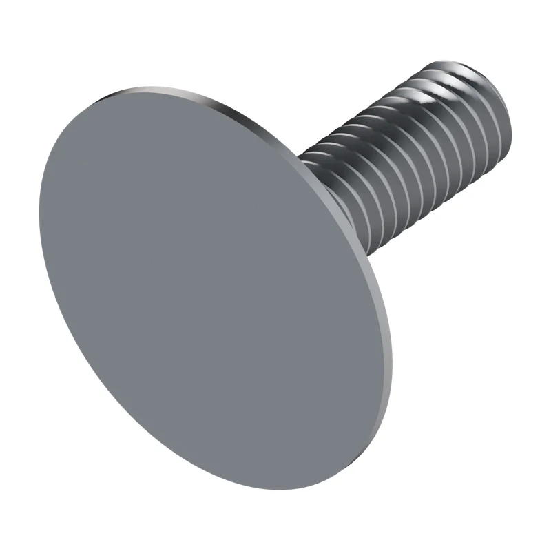 Elevator Bolt ASME B18.5