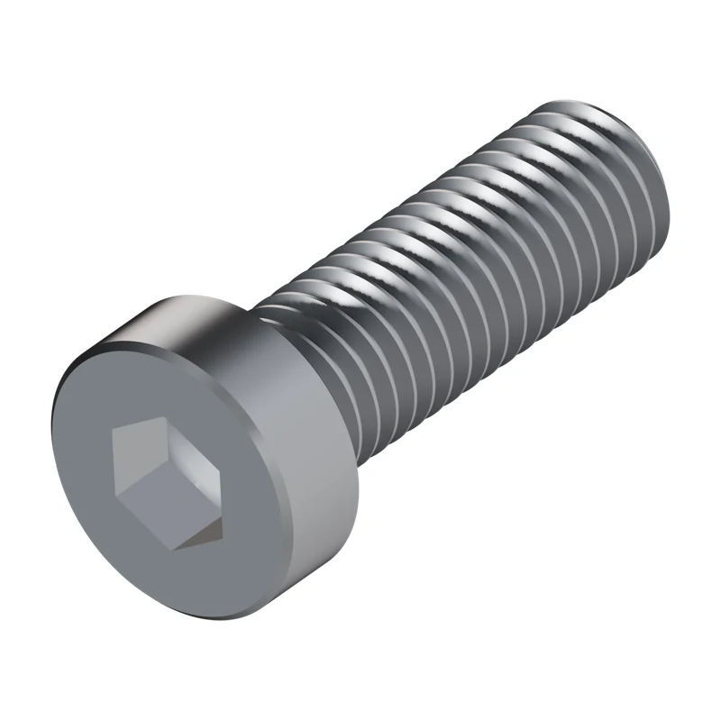 Hexagon Socket Head Cap Screw, Low Head