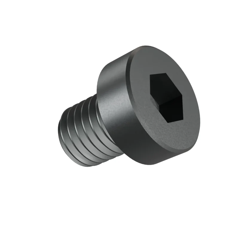 Hexagon Socket Head Cap Screw, Low Head DIN 7984 M10 × 12, plain steel