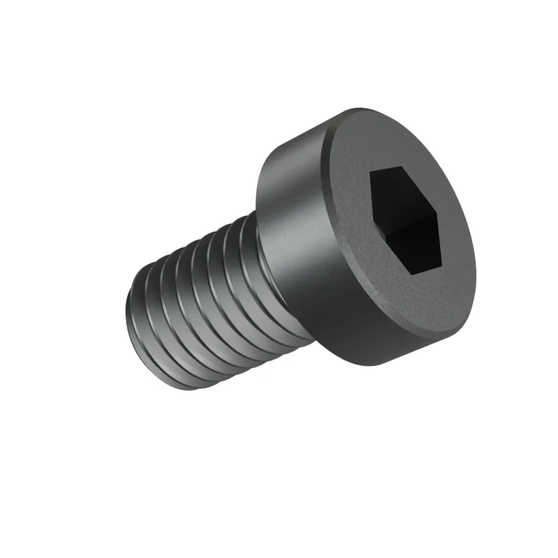 Hexagon Socket Head Cap Screw, Low Head DIN 7984 M10 × 16, plain steel