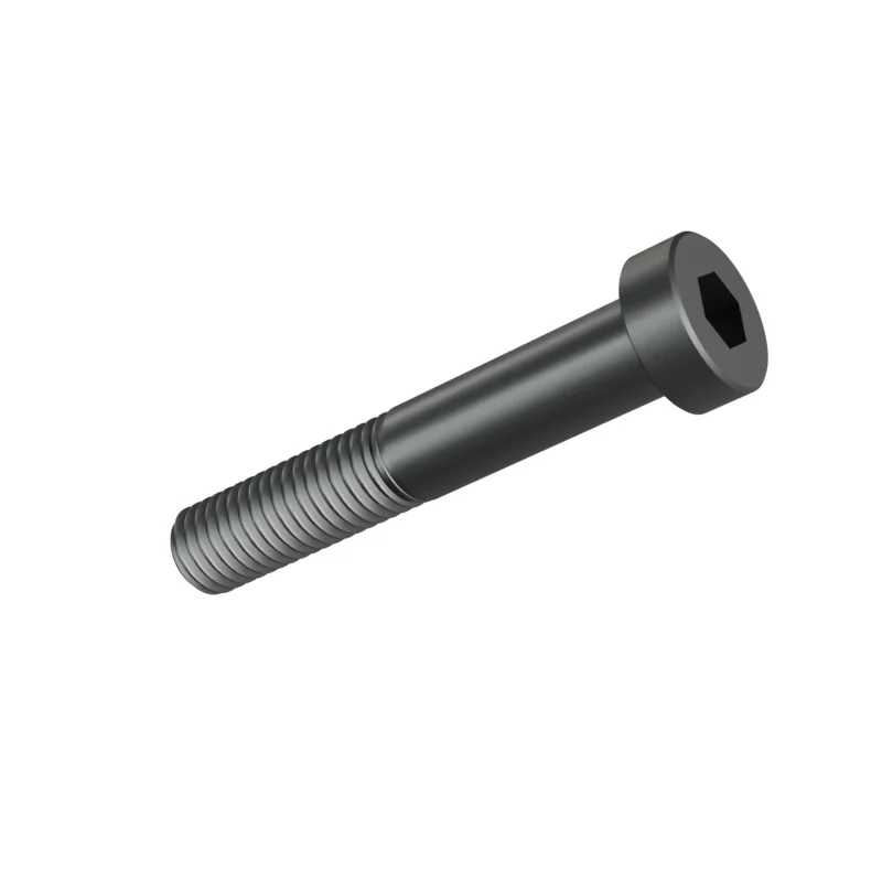 Hexagon Socket Head Cap Screw, Low Head DIN 7984 M10 × 60, plain steel