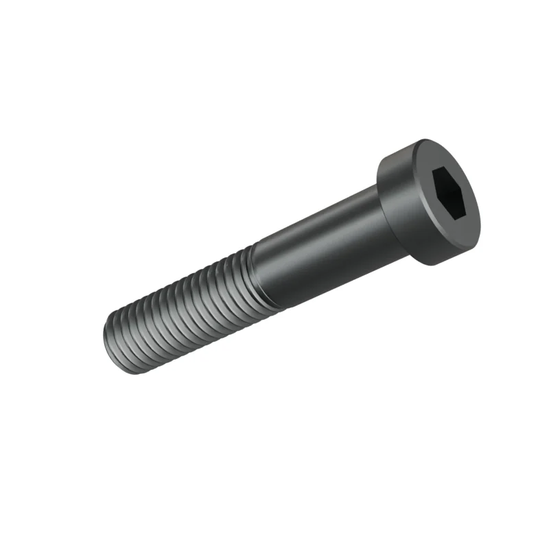 Hexagon Socket Head Cap Screw, Low Head DIN 7984 M12 × 60, plain steel