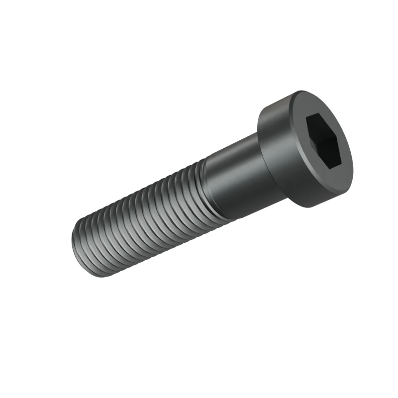 Hexagon Socket Head Cap Screw, Low Head DIN 7984 M16 × 60, plain steel