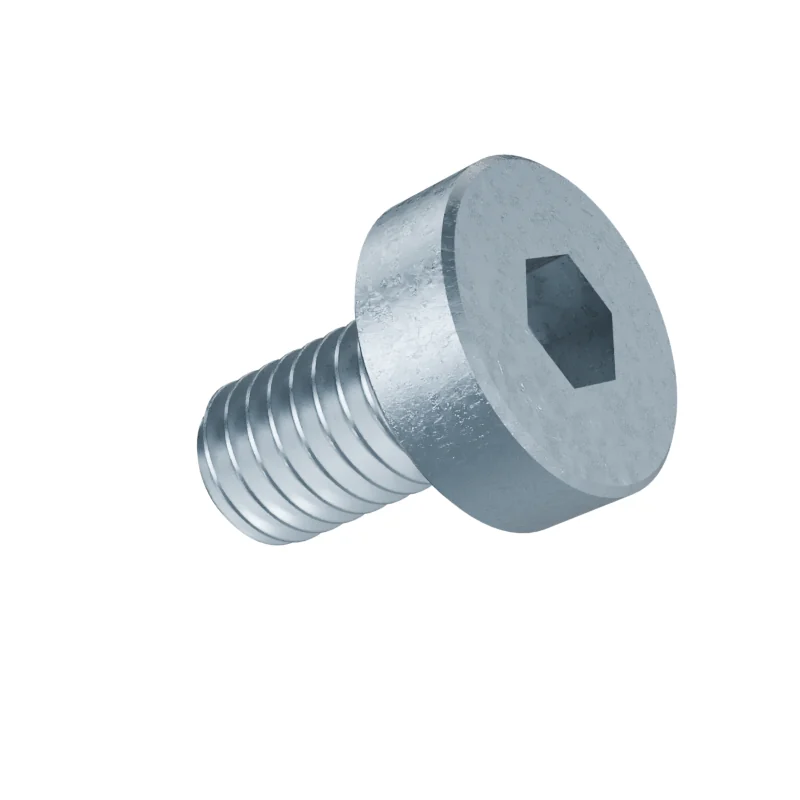 Hexagon Socket Head Cap Screw, Low Head DIN 7984 M3 × 5, zinc plated