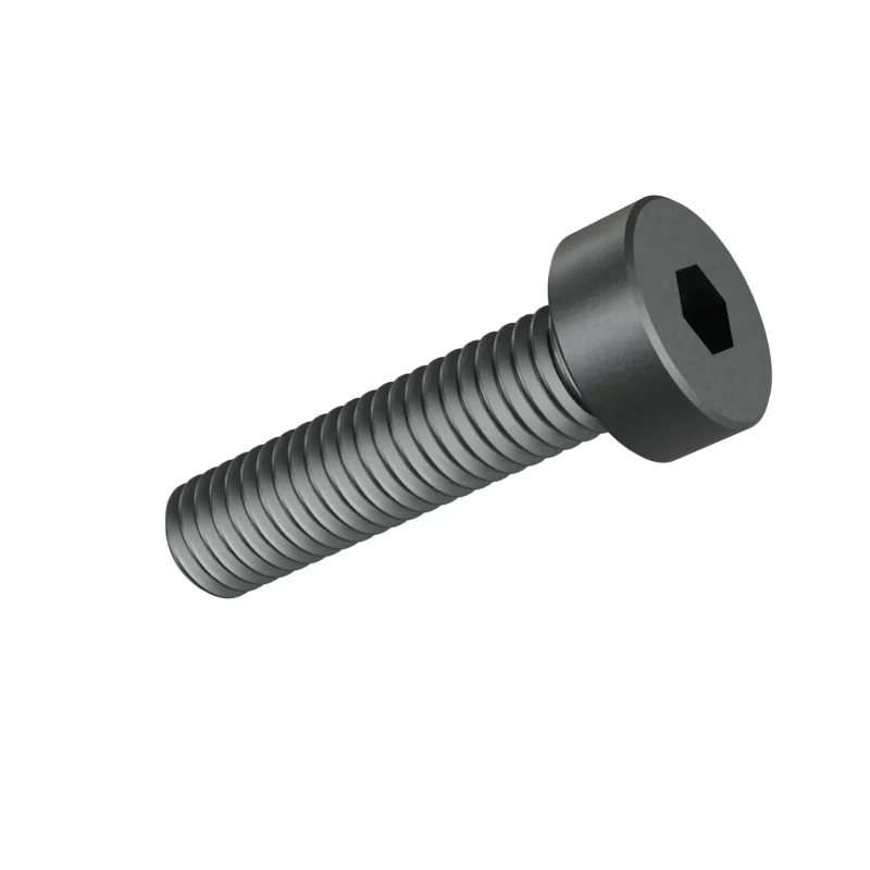 Hexagon Socket Head Cap Screw, Low Head DIN 7984 M5 × 20, plain steel