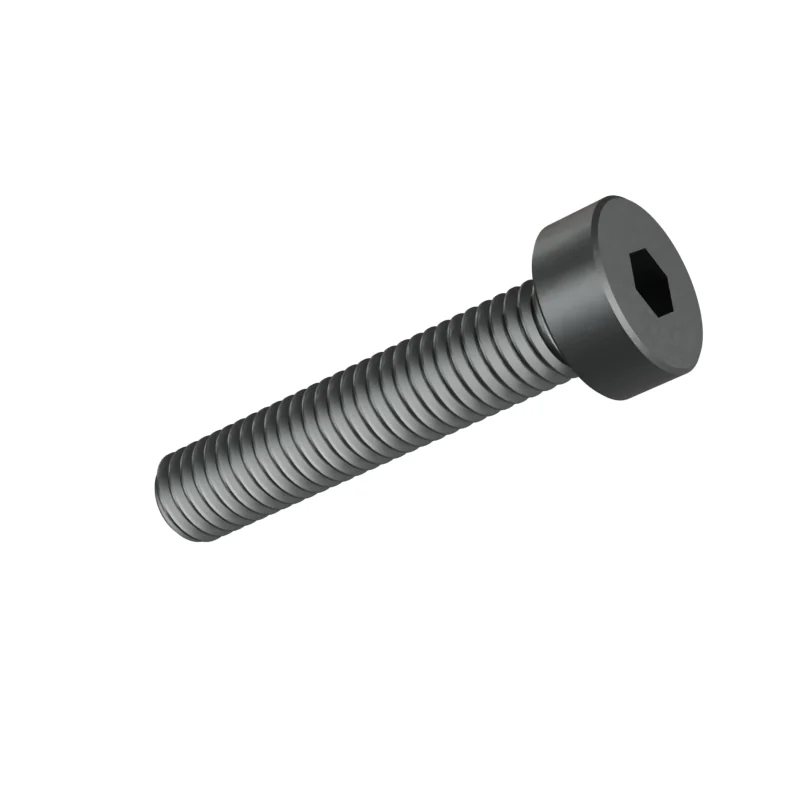 Hexagon Socket Head Cap Screw, Low Head DIN 7984 M5 × 25, plain steel