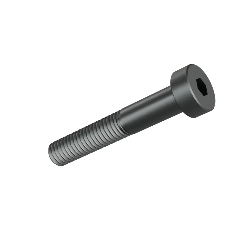 Hexagon Socket Head Cap Screw, Low Head DIN 7984 M5 × 30, plain steel