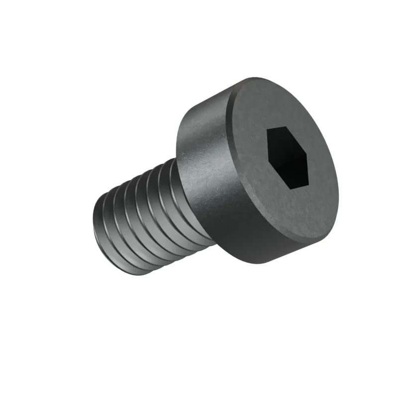 Hexagon Socket Head Cap Screw, Low Head DIN 7984 M5 × 8, plain steel
