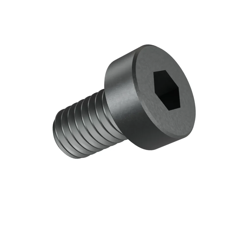 Hexagon Socket Head Cap Screw, Low Head DIN 7984 M6 × 10, plain steel