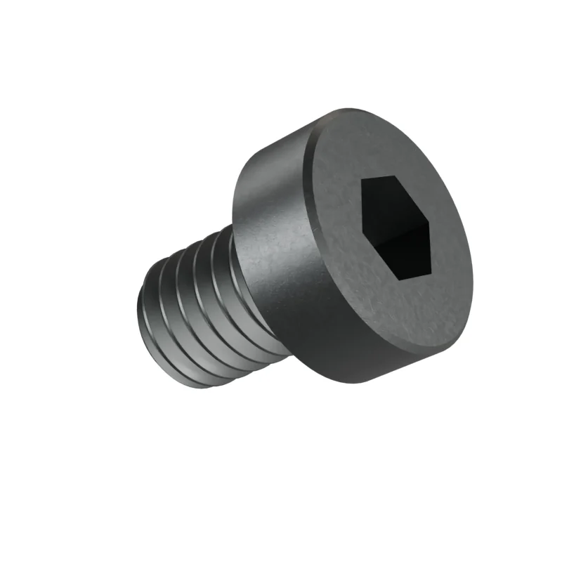 Hexagon Socket Head Cap Screw, Low Head DIN 7984 M6 × 8, plain steel