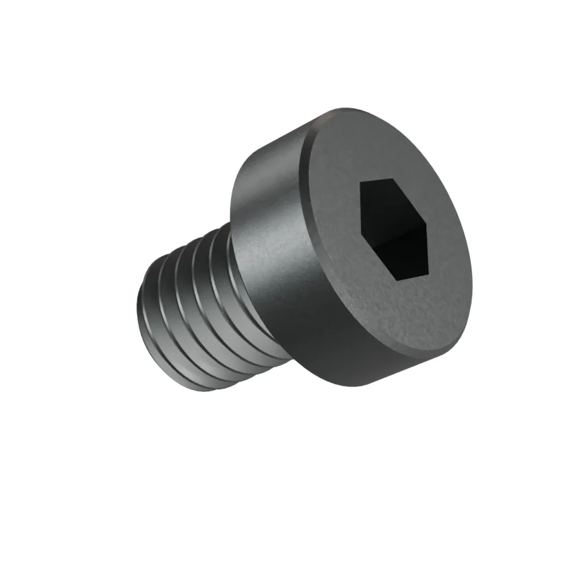 Hexagon Socket Head Cap Screw, Low Head DIN 7984 M8 × 10, plain steel