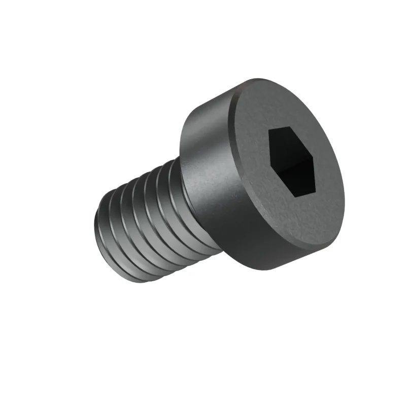 Hexagon Socket Head Cap Screw, Low Head DIN 7984 M8 × 12, plain steel
