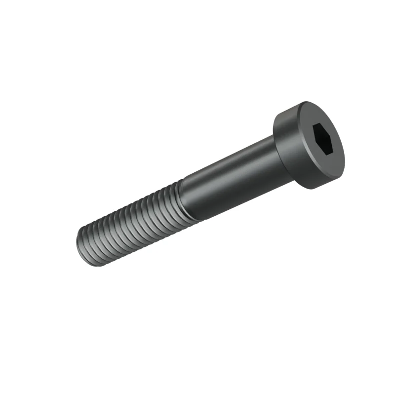 Hexagon Socket Head Cap Screw, Low Head DIN 7984 M8 × 45, plain steel