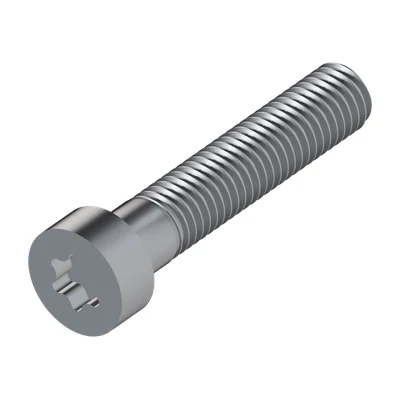 Hexalobular Socket Cheese Head Screw ISO 14580 M10 × 50, overview