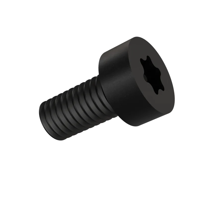 Hexalobular Socket Cheese Head Screw ISO 14580 M5 × 10, black oxide
