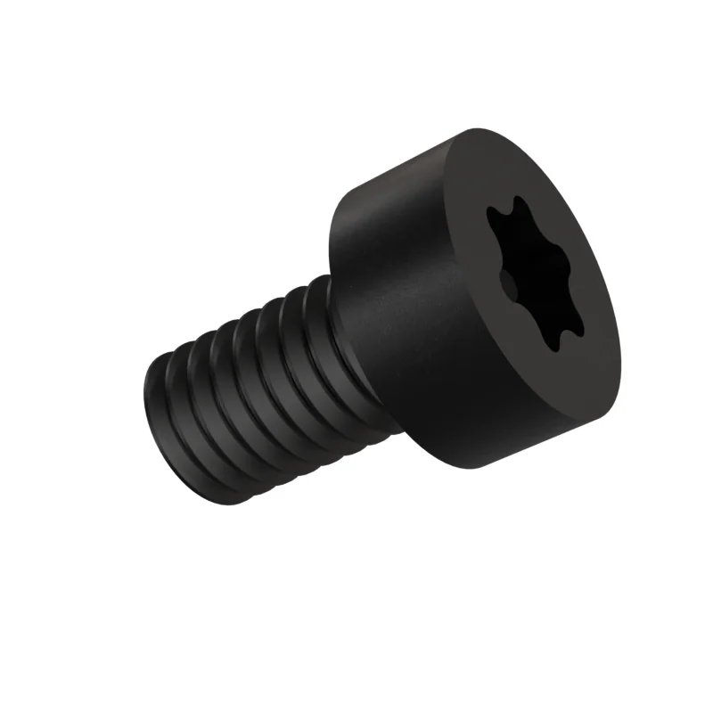 Hexalobular Socket Cheese Head Screw ISO 14580 M6 × 10, black oxide