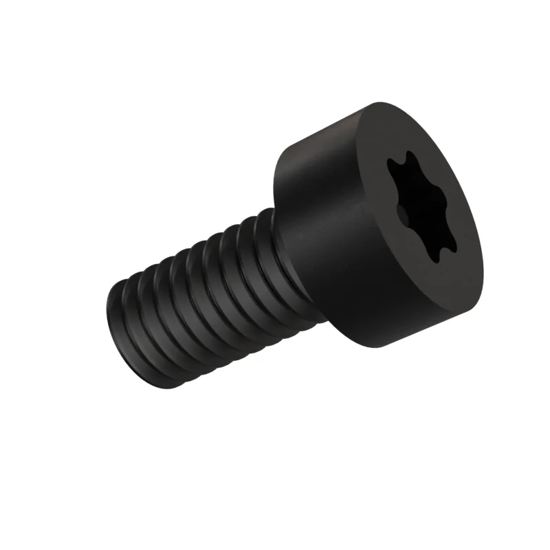 Hexalobular Socket Cheese Head Screw ISO 14580 M6 × 12, black oxide