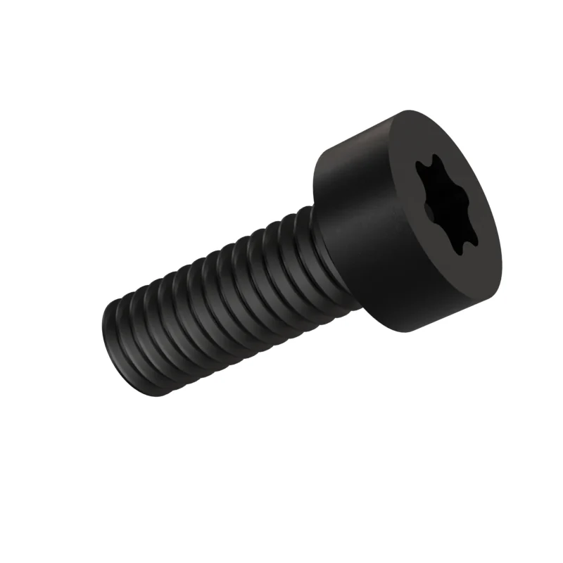 Hexalobular Socket Cheese Head Screw ISO 14580 M6 × 16, black oxide