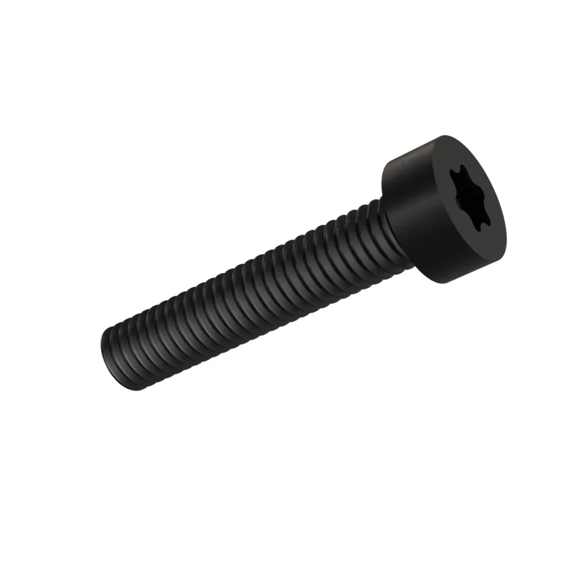 Hexalobular Socket Cheese Head Screw ISO 14580 M6 × 30, black oxide