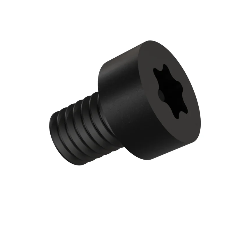 Hexalobular Socket Cheese Head Screw ISO 14580 M6 × 8, black oxide