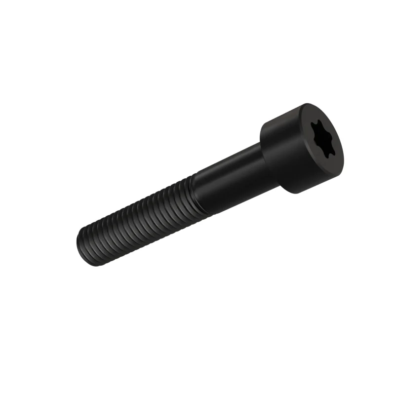 Hexalobular Socket Head Cap Screw ISO 14579 M10 × 55, black oxide