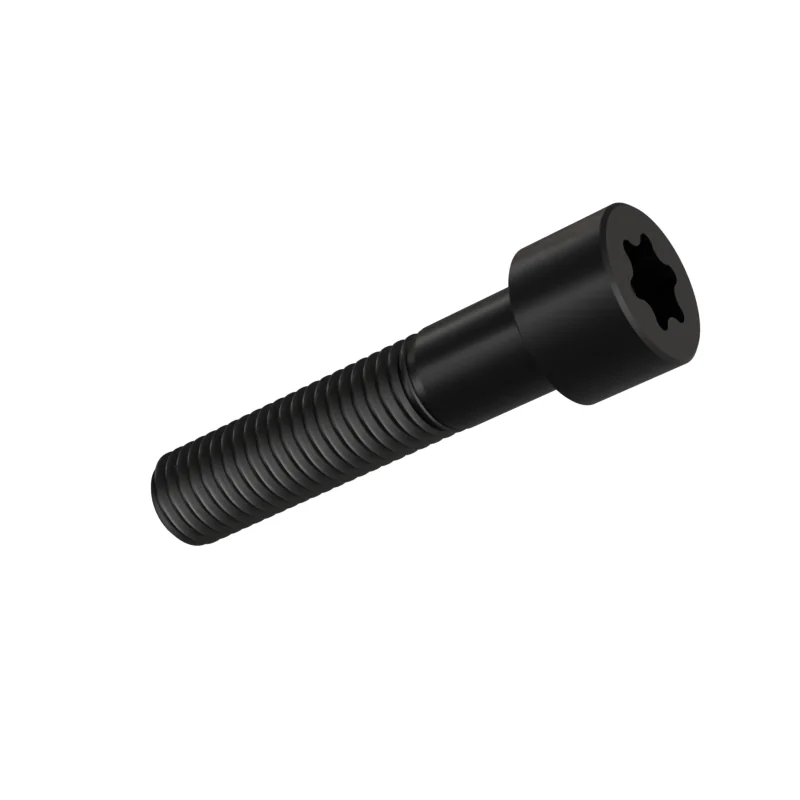 Hexalobular Socket Head Cap Screw ISO 14579 M12 × 55, black oxide