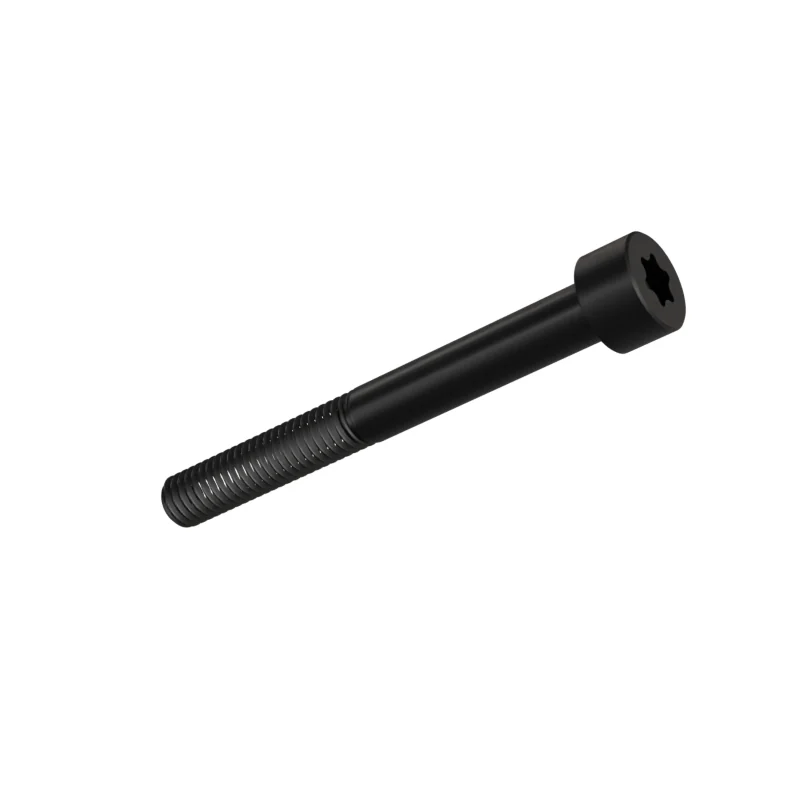 Hexalobular Socket Head Cap Screw ISO 14579 M6 × 55, black oxide
