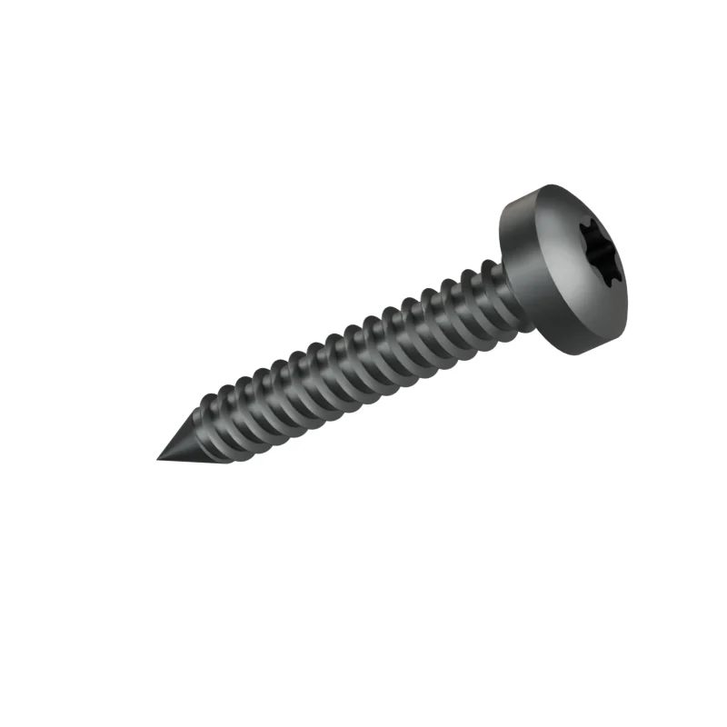 Hexalobular Socket Pan Head Tapping Screw ISO 14585 ST6.3 × 38, plain steel