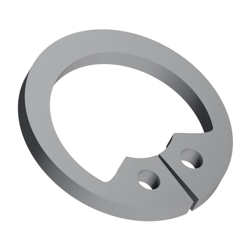 Retaining Ring for Bores