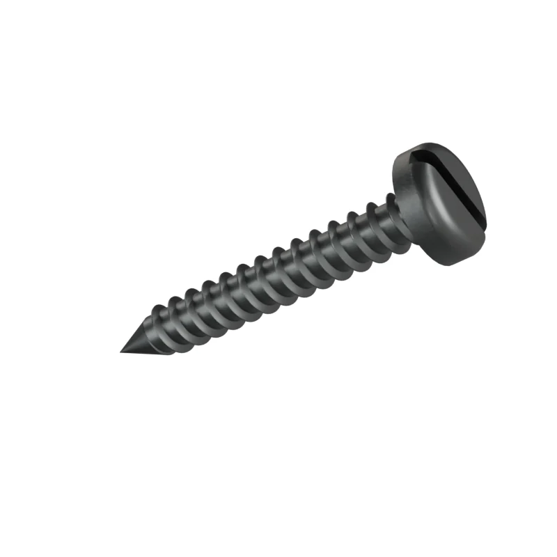 Slotted Pan Head Tapping Screw ISO 1481 ST2.9 × 19, plain steel