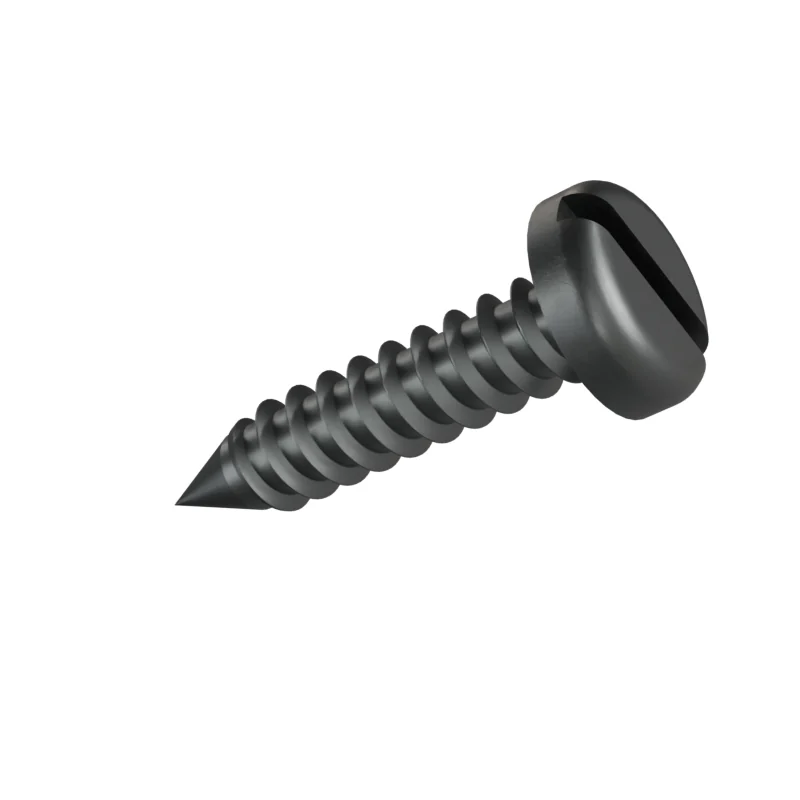 Slotted Pan Head Tapping Screw ISO 1481 ST4.2 × 19, plain steel