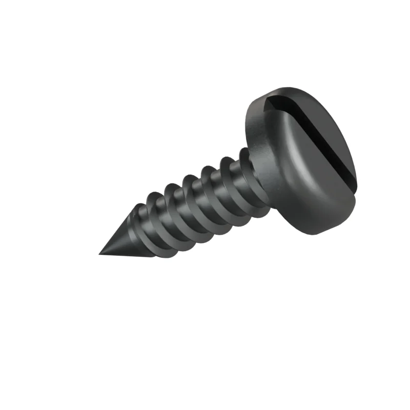 Slotted Pan Head Tapping Screw ISO 1481 ST5.5 × 19, plain steel