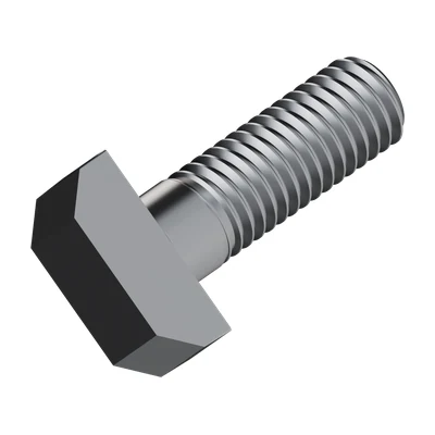T-Head Bolt DIN 261 M10 × 30, overview